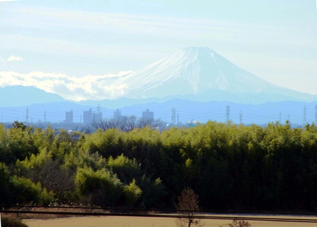 初富士はふるさとの方拝みけり