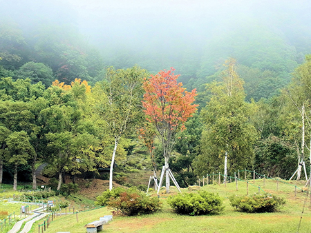 紅葉のはじまる里や旅はじめ
