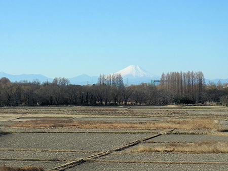 凍空(いてぞら)に遠望の富士凛と立つ