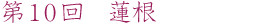第10回　蓮根